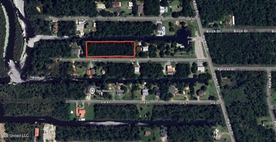 10 waterfront lots in Bayou Phillips Estate. Canal empties into - photo 1