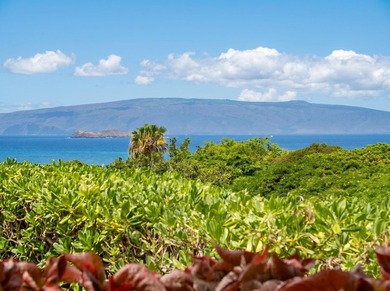 La'i Loa: Where Elevated Design Meets the Spirit of Wailea THIS - photo 18