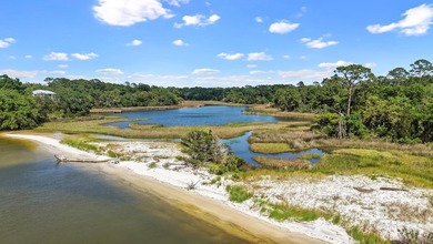 (private lake, pond, coastal) Acreage For Sale in Gulf Shores Alabama
