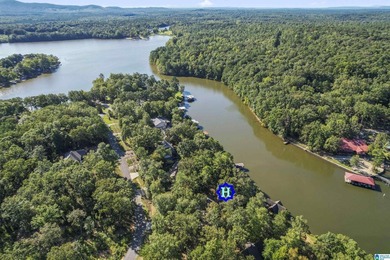 Have you been looking for a GORGEOUS LAKE HOME? VACATION - photo 40