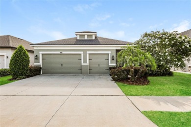 Lake Home For Sale in Riverview, Florida