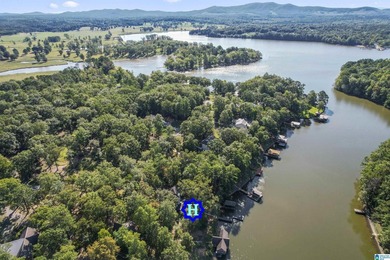 Have you been looking for a GORGEOUS LAKE HOME? VACATION - photo 42