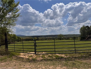 Welcome to an exceptional 420+/- acre ranch in Western Arkansas - photo 44