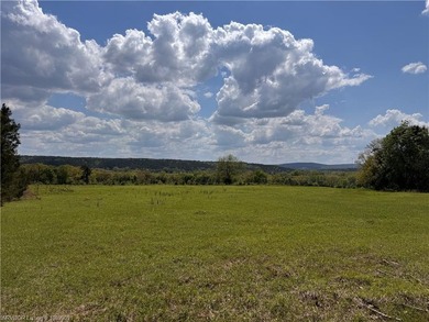 Welcome to an exceptional 420+/- acre ranch in Western Arkansas - photo 45
