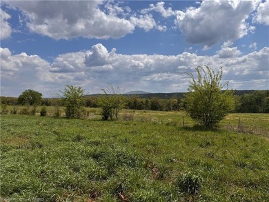 Welcome to an exceptional 420+/- acre ranch in Western Arkansas - photo 50