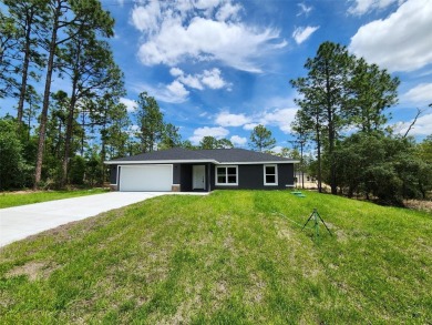 Lake Home For Sale in Dunnellon, Florida