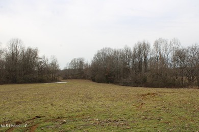 100.06+/- acres at the northwest corner of Highway 301 and - photo 11