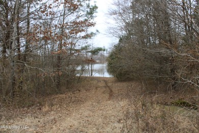 100.06+/- acres at the northwest corner of Highway 301 and - photo 12