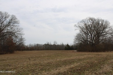 100.06+/- acres at the northwest corner of Highway 301 and - photo 13