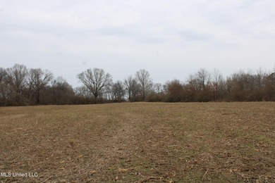 100.06+/- acres at the northwest corner of Highway 301 and - photo 14