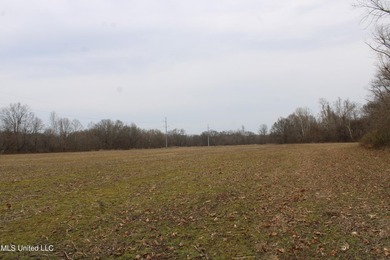 100.06+/- acres at the northwest corner of Highway 301 and - photo 15