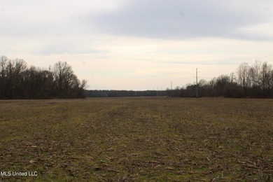 100.06+/- acres at the northwest corner of Highway 301 and - photo 16