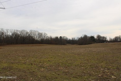 100.06+/- acres at the northwest corner of Highway 301 and - photo 17