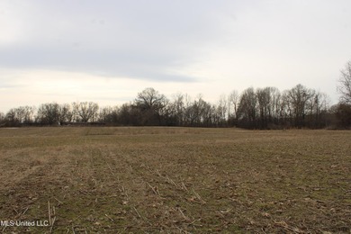 100.06+/- acres at the northwest corner of Highway 301 and - photo 18
