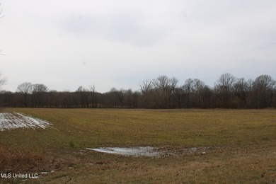 100.06+/- acres at the northwest corner of Highway 301 and - photo 19