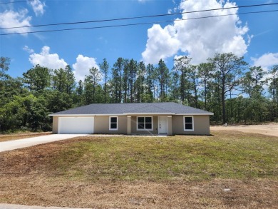 Lake Home Sale Pending in Dunnellon, Florida