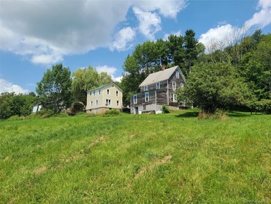 (private lake, pond, coastal) Home For Sale in Livingston Manor New York