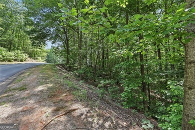 Bring your plans & build your dream home! The Orchard - a - photo 4