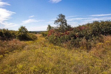 Tract 1 - 125+/- Acres | Woodward County, OK Located in the - photo 12