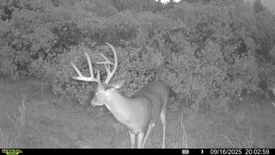 Tract 1 - 125+/- Acres | Woodward County, OK Located in the - photo 15