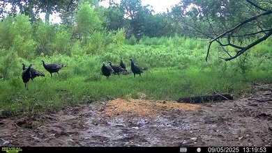 Tract 1 - 125+/- Acres | Woodward County, OK Located in the - photo 16