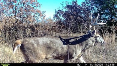 Tract 1 - 125+/- Acres | Woodward County, OK Located in the - photo 18
