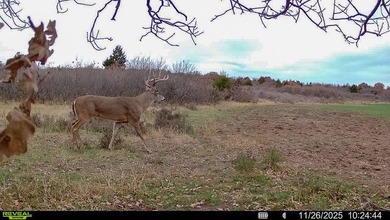 Tract 1 - 125+/- Acres | Woodward County, OK Located in the - photo 20