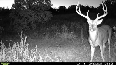 Tract 1 - 125+/- Acres | Woodward County, OK Located in the - photo 21