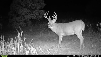 Tract 1 - 125+/- Acres | Woodward County, OK Located in the - photo 22