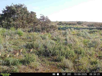 Tract 1 - 125+/- Acres | Woodward County, OK Located in the - photo 23