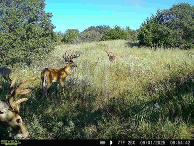 Tract 1 - 125+/- Acres | Woodward County, OK Located in the - photo 24