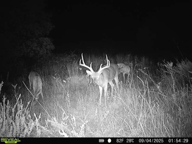 Tract 1 - 125+/- Acres | Woodward County, OK Located in the - photo 25