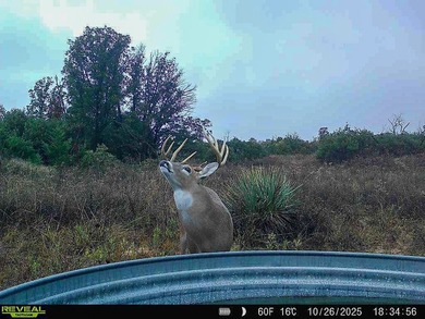 Tract 1 - 125+/- Acres | Woodward County, OK Located in the - photo 27