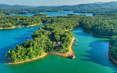 Set along the pristine shores of Lake Blue Ridge and just - photo 47