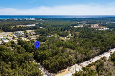 Three lots only minutes from 30A in Santa Rosa Beach! This - photo 3