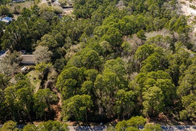 Three lots only minutes from 30A in Santa Rosa Beach! This - photo 8