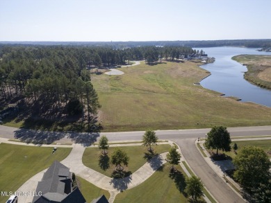 Lake Lot For Sale in Madison, Mississippi