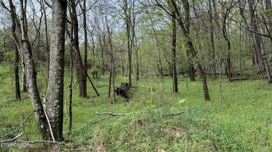 Holston River - Grainger County  Acreage Sale Pending in Rutledge Tennessee