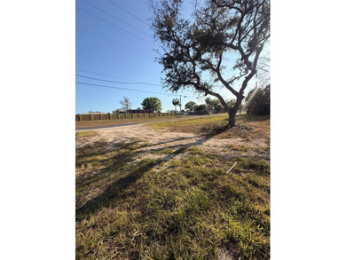 Prime Development Opportunity in Steinhatchee, Florida Unlock - photo 2