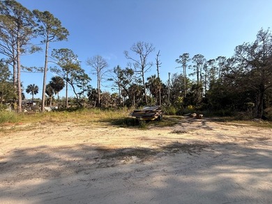 Prime Development Opportunity in Steinhatchee, Florida Unlock - photo 3