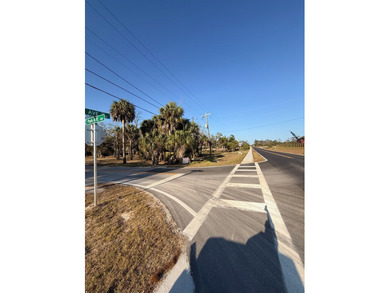Prime Development Opportunity in Steinhatchee, Florida Unlock - photo 4