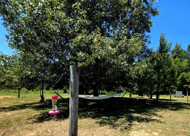 Priced to Sell Quick! Acreage, home, barn, and lake life! This - photo 40