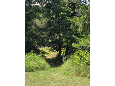 Priced to Sell Quick! Acreage, home, barn, and lake life! This - photo 42