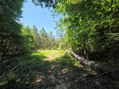 Priced to Sell Quick! Acreage, home, barn, and lake life! This - photo 43