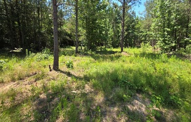 Priced to Sell Quick! Acreage, home, barn, and lake life! This - photo 45