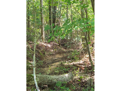 Priced to Sell Quick! Acreage, home, barn, and lake life! This - photo 48