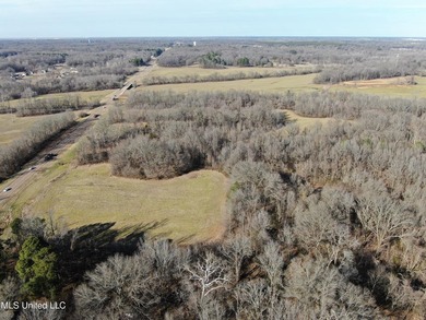 120+/- acres located at the northeast corner of Highway 301 and - photo 11
