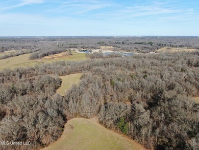 120+/- acres located at the northeast corner of Highway 301 and - photo 12