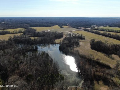 120+/- acres located at the northeast corner of Highway 301 and - photo 13