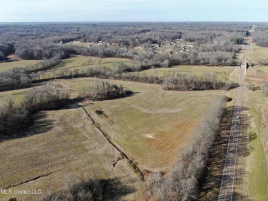 120+/- acres located at the northeast corner of Highway 301 and - photo 14